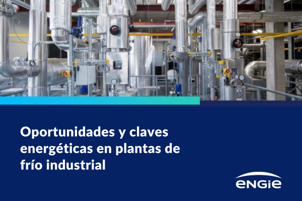 Oportunidades y claves energéticas en plantas de frío industrial