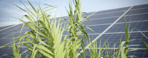 La externalización de activos energéticos frente al leasing: financiando la descarbonización