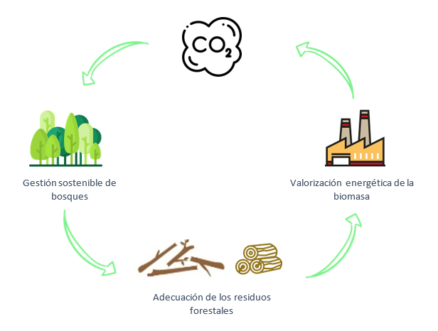 Contribución al modelo de economía circular