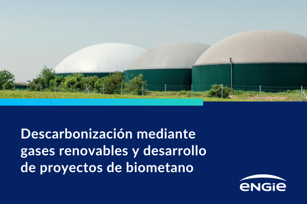 Descarbonización mediante gases renovables y desarrollo de proyectos de biometano
