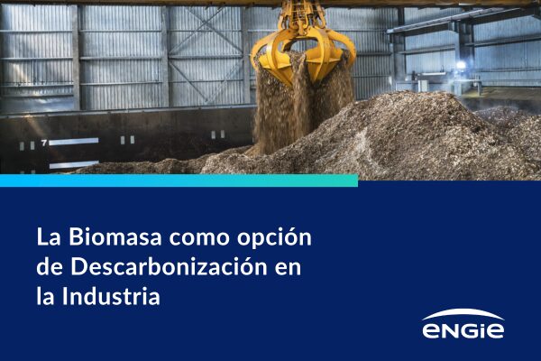 La Biomasa como opción de Descarbonización en la Industria