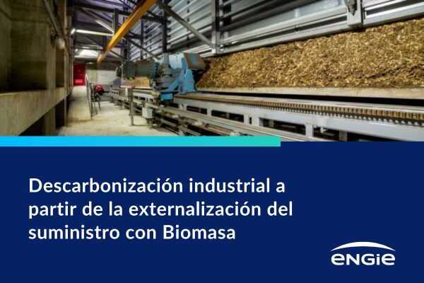 Descarbonización industrial a partir de la externalización del suministro energético con biomasa