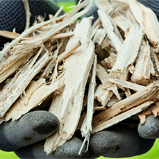 relacionados_biomasa biomasa madera