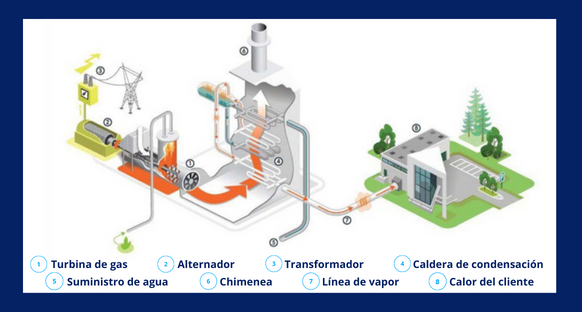proceso