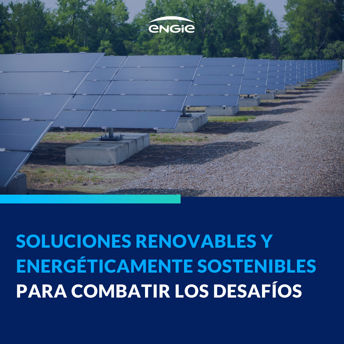 Sostenibilidad y eficiencia en las plantas de Frío Industrial: retos y soluciones para el sector