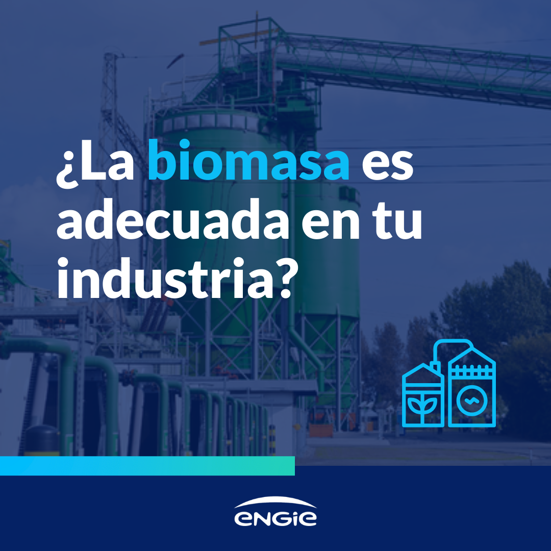 ¿En qué tipos de industrias es adecuada la biomasa en España?