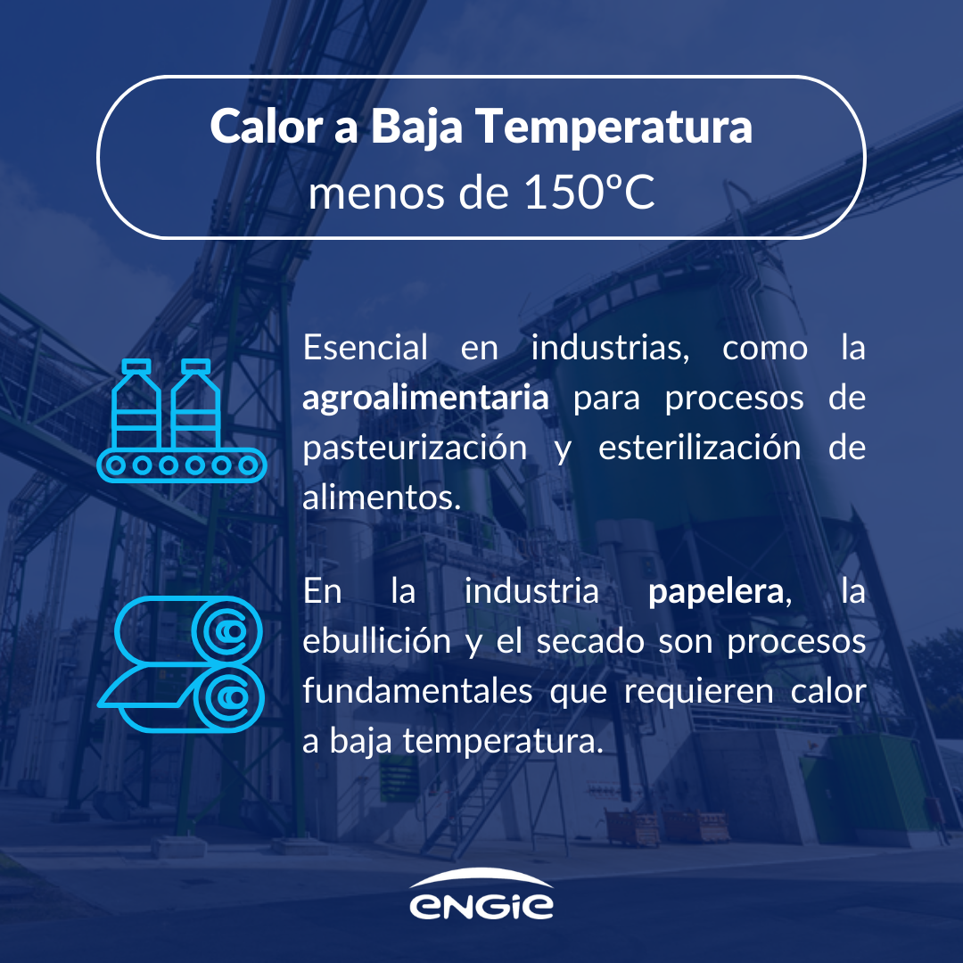 ¿En qué tipos de industrias es adecuada la biomasa en España?
