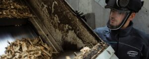 Biomasa industrial térmica: aumenta tu estabilidad y rentabilidad