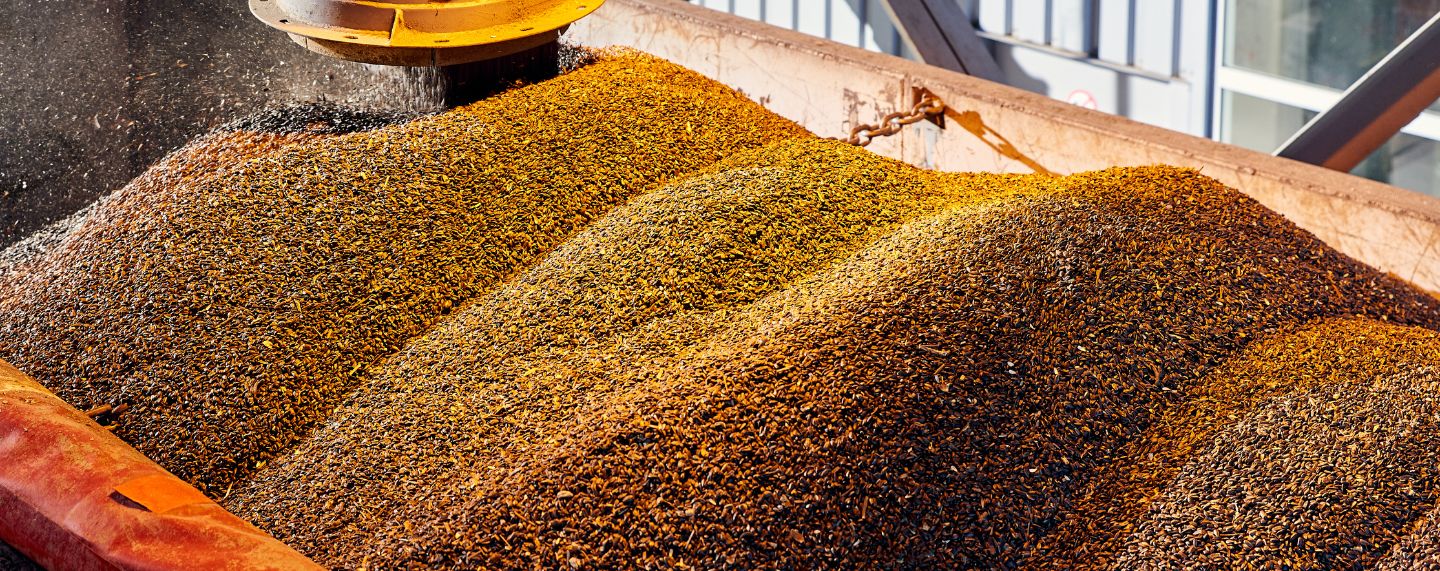 Sector Agroalimentario