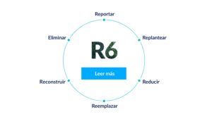 R6