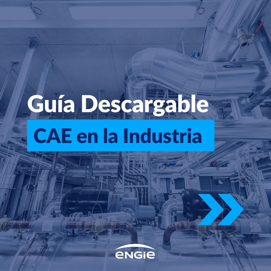 gua cae 2 carrusel