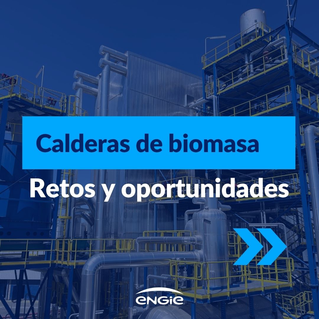 biomasa carrusel 1