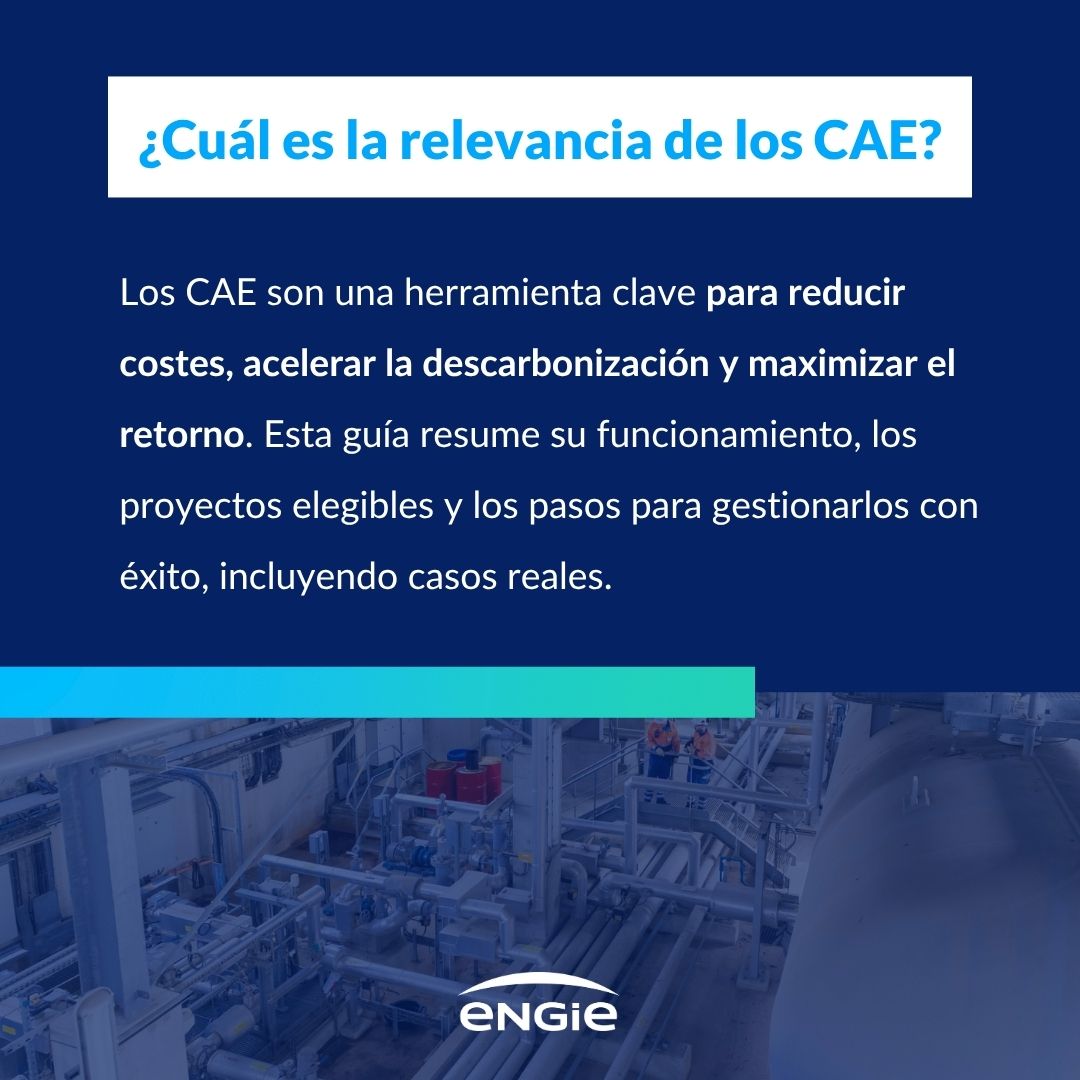relevancia cae