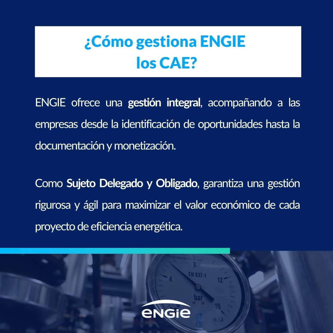 como gestiona los cae