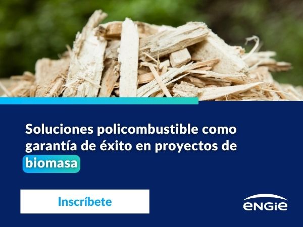 600x450 Banner HOME 25 nov 2025 (1) HOME WEBINAR BIOMASA 18.06.2026