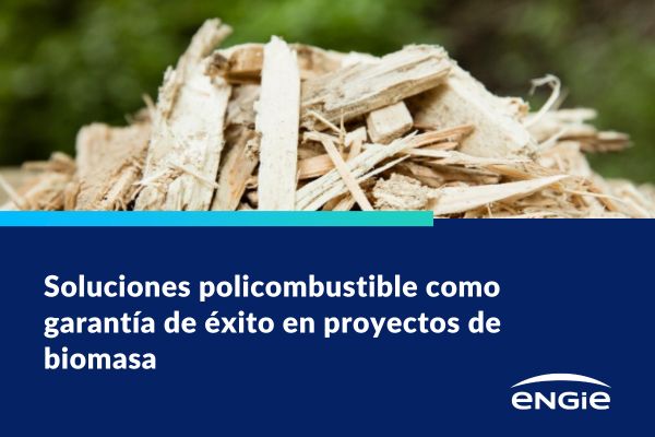 Repositorio webinar biomasa 18.06.2026
