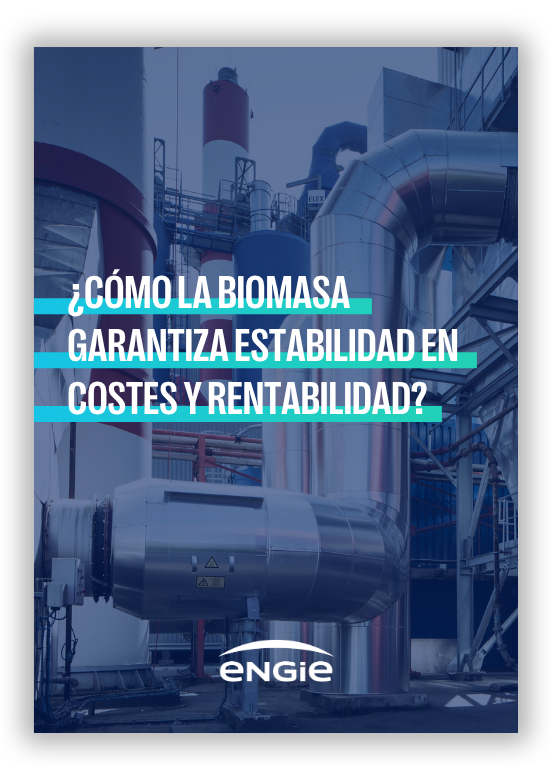 Guía biomasa recursos