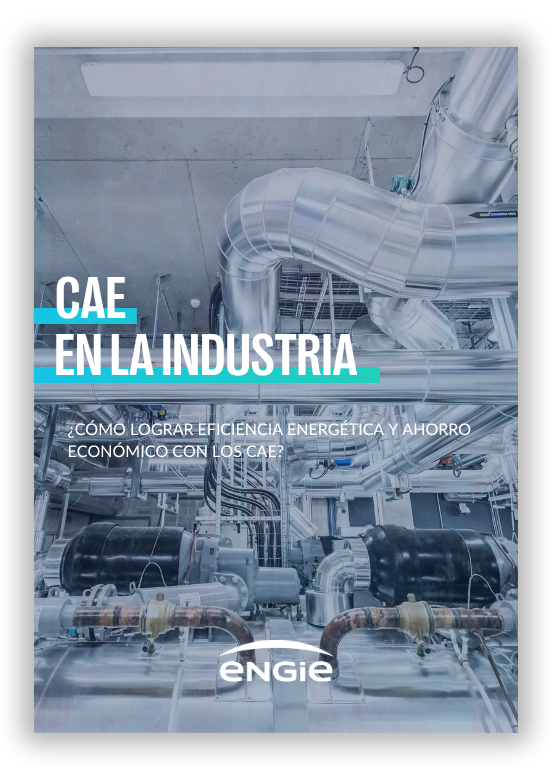 guia CAE II (1) recursos